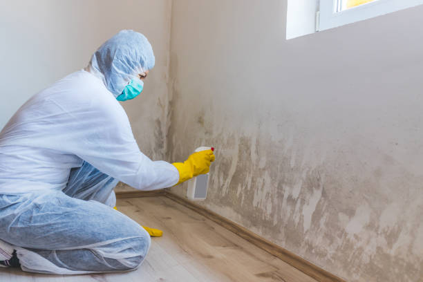 Mold inspector in Spring Grove performing thermal imaging